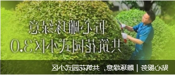 微信截图_20250616174100